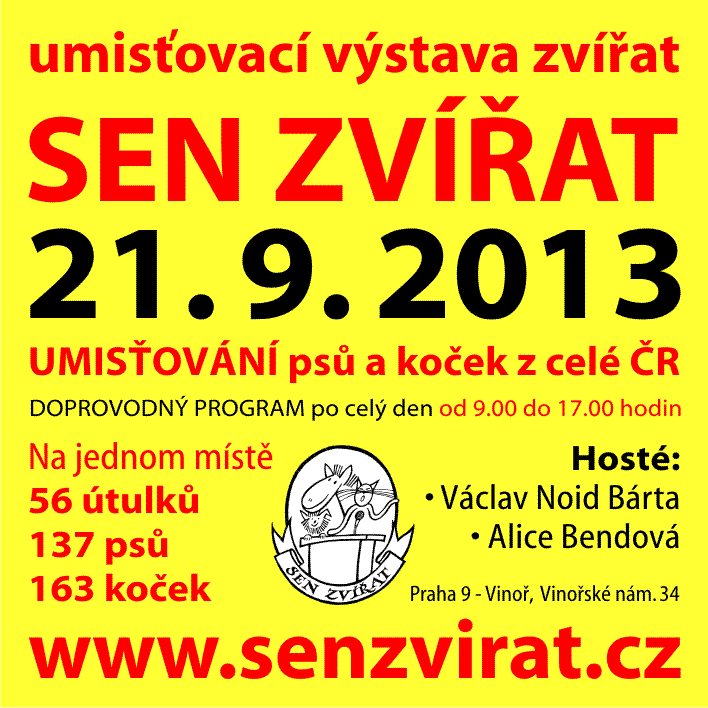 banner-6x6-senzvirat-2013