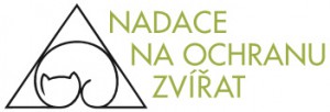 copy-logo.jpg