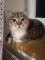 7ed8799e-6515-45ef-b71b-b0c3baf77bda.jpg